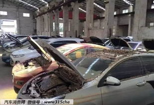 上萬(wàn)泡水車(chē)來(lái)襲,購(gòu)車(chē)需謹(jǐn)慎